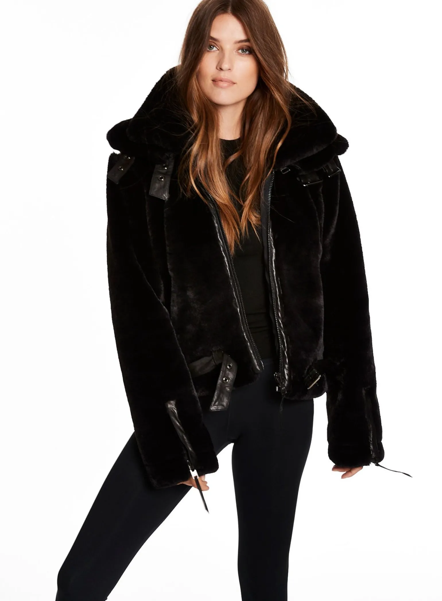 penelope_7-2.webp Penelope