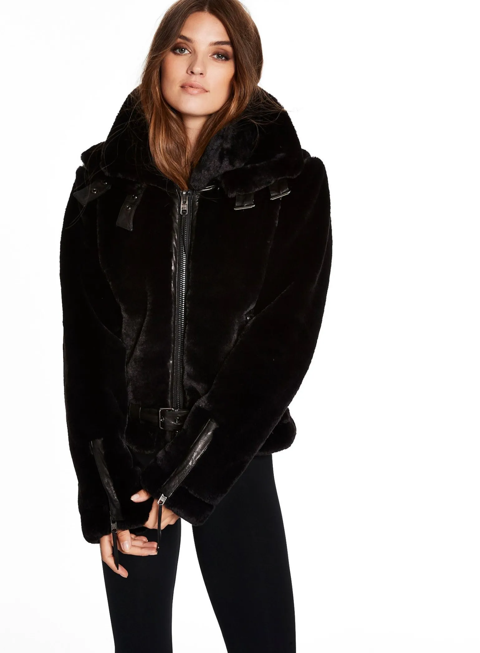 penelope_8-2.webp Penelope